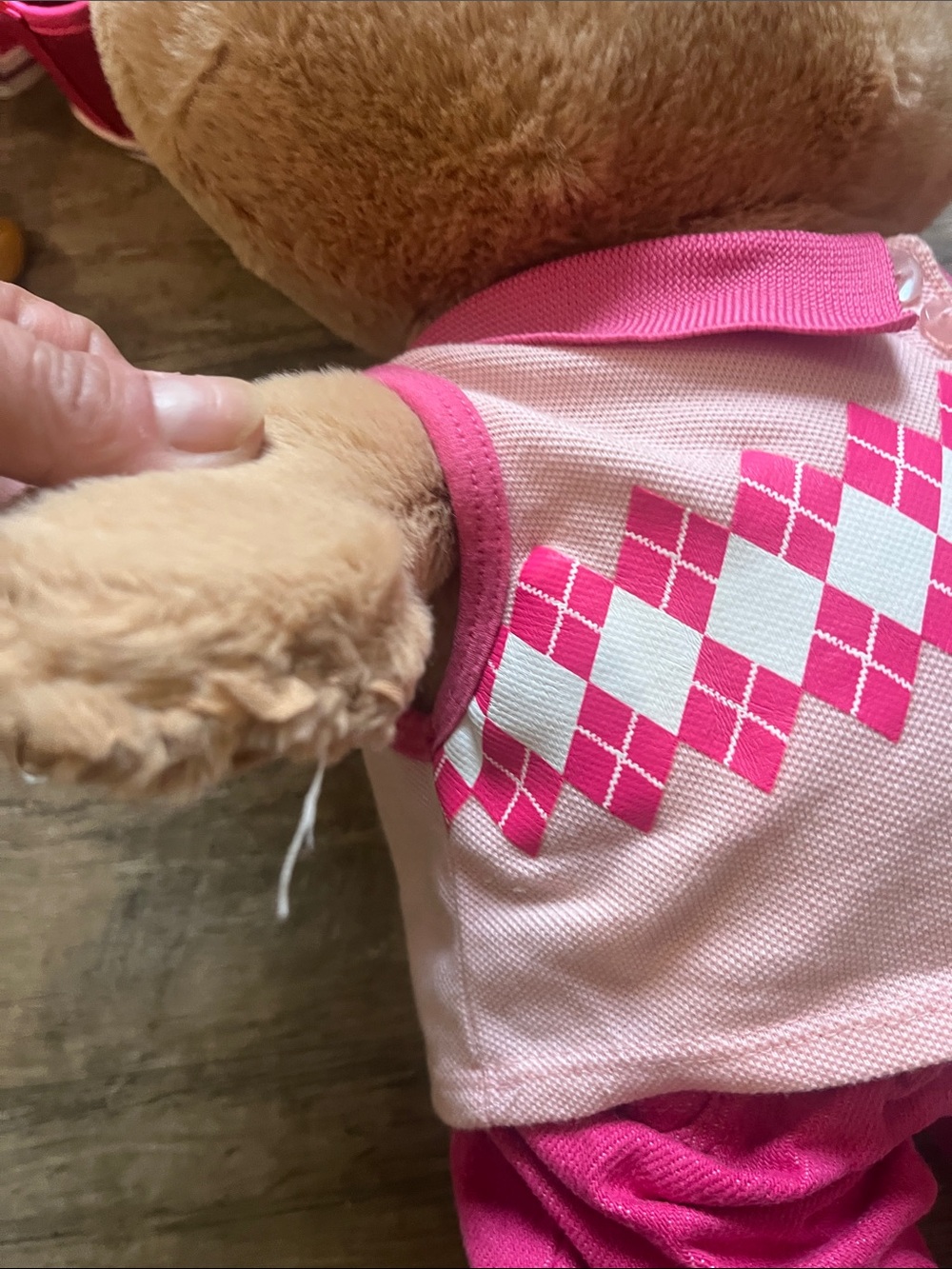 Build a bears - Picture 6 of 6